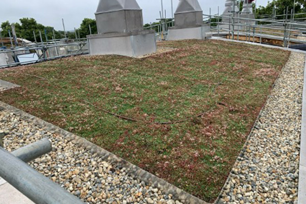 BedZed-Estate-3
