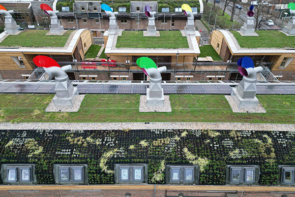 BedZed-Estate-2